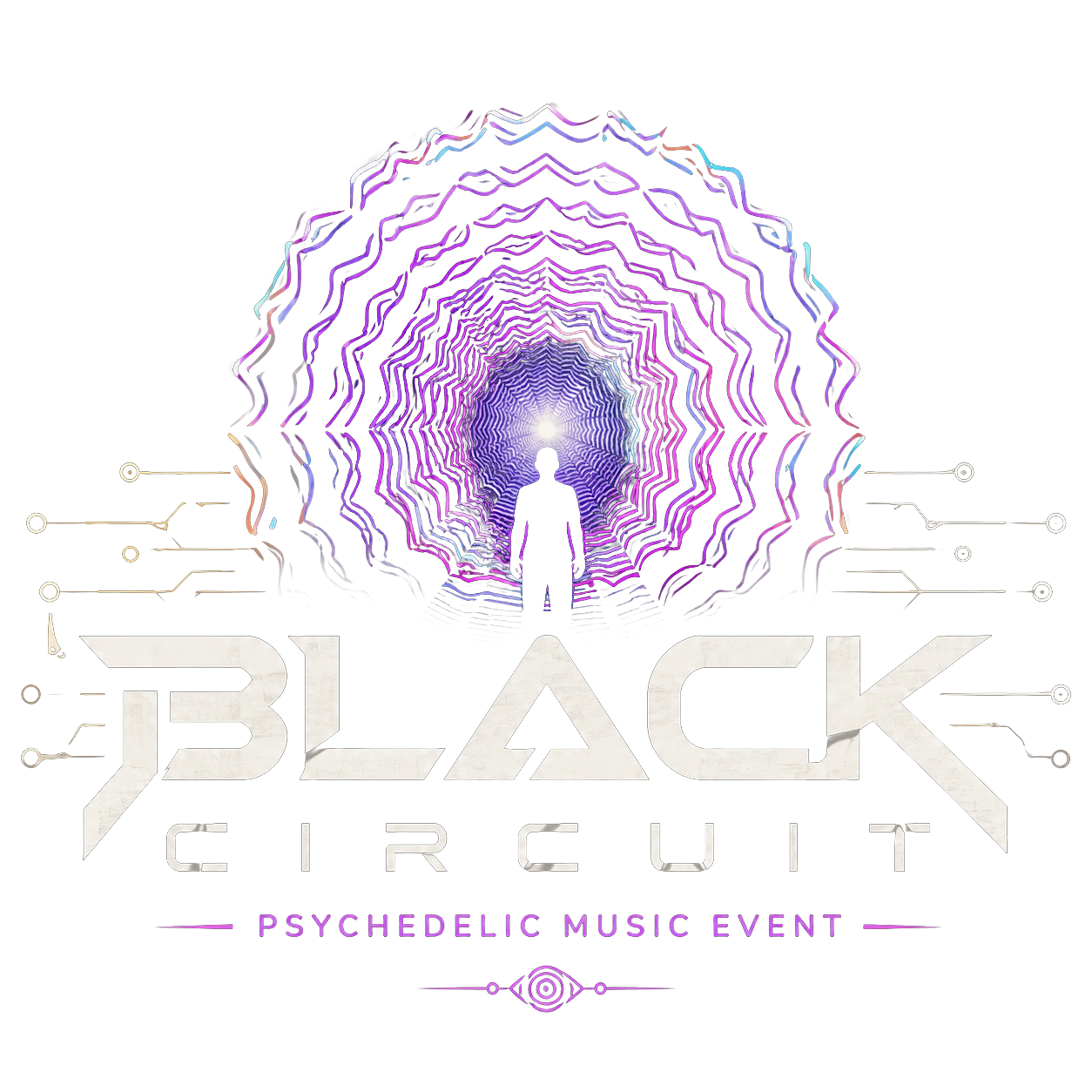 Black Circuit